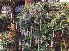  A cold weather has come {{{{(&gt;_&lt;)}}}}