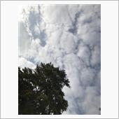 雲の多い晴れ