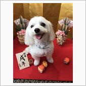 新しい年の始まり♪