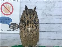歴史研究家フクロウくまz博士の熱き１日！
