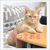 頑張った！あたし･･･