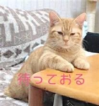 頑張った！あたし･･･
