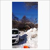 雪遊びに行ってきました。
