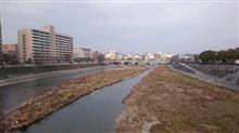 会社のラン仲間と30km走