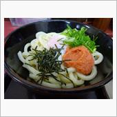 明太釜玉うどん