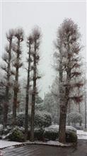 大雪注意報！