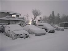 降雪