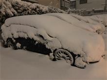積雪⛄️ 積雪⛄️