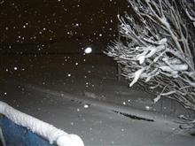 大雪 大雪