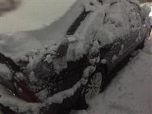東京は雪です 東京は雪です