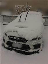大雪です⛄️ 大雪です⛄️