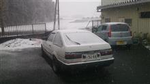 今シーズン初雪
