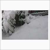 雪ですね〜、そういえば4年前も
