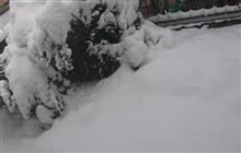 雪ですね〜、そういえば4年前も