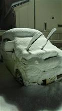 雪だ雪だ~!・・・あれ? 雪だ雪だ~!・・・あれ?