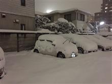 雪国から帰還