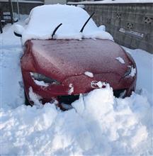 除雪洗車！