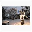 雪。。。