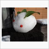 大雪の記録  ～  初めての ...