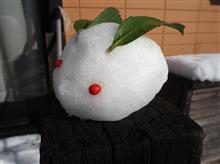 大雪の記録  ～  初めての ○○○