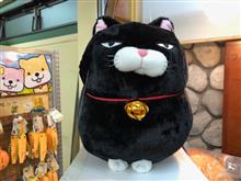 そもそもサーキットを走る人