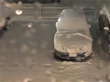 カバ太郎、初雪記録(θ__・__θ) カバ太郎、初雪記録(θ__・__θ)