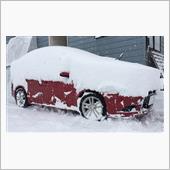 我が 相棒 が 大雪 で ミ ...