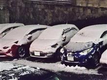 雪の朝