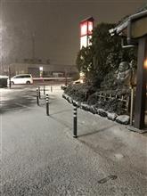 アブナイ鴨