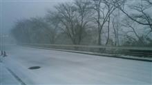 １７時頃自宅御近所の様子❤降雪が凄い！❤