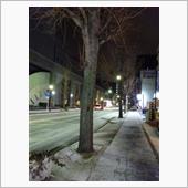 名古屋も雪です