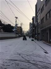京都も雪景色