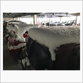 雪☃️