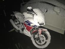 雪_:(&#180;ཀ`」 ∠):