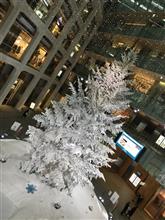 冬はどこもライトアップですね
