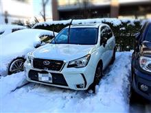 東京豪雪! 東京豪雪!