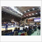 視察してきました🏀