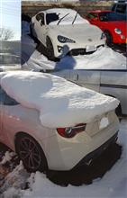 大雪の続き…