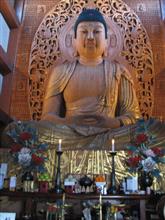 福岡大仏❗️東長寺(福岡市博多区)❗️