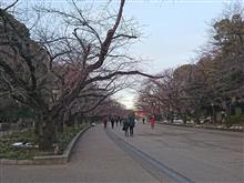 結局今日も…