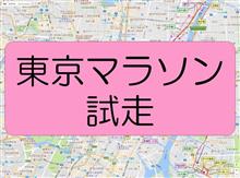東京マラソン試走(新コース部分) 東京マラソン試走(新コース部分)