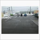 久しぶりに除雪無し