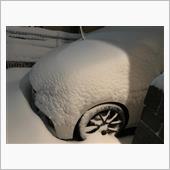 降雪からのお庭オフでした(^ ...