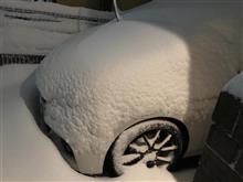 降雪からのお庭オフでした(^o^)