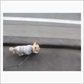 日照時間