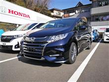 ついに来たよミニバンが! ついに来たよミニバンが!