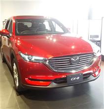 CX8試乗しますた CX8試乗しますた