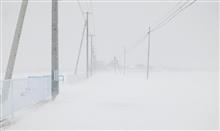 まだまだ猛吹雪～；；；