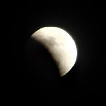 天体ショーを愛でる…