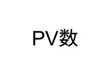 PVレポートから分かる事 PVレポートから分かる事